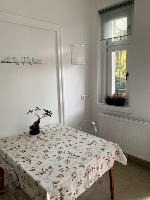 Parokia Apartman Es Coworking A Balaton Mellett Kaptalantoti Kültér fotó